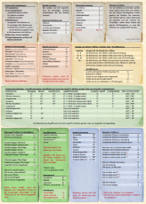 Koalitionskrieg - Referenzkarte laminiert